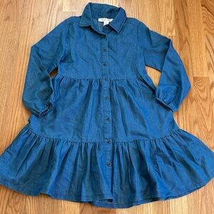 Japna Girls long sleeve denim dress.